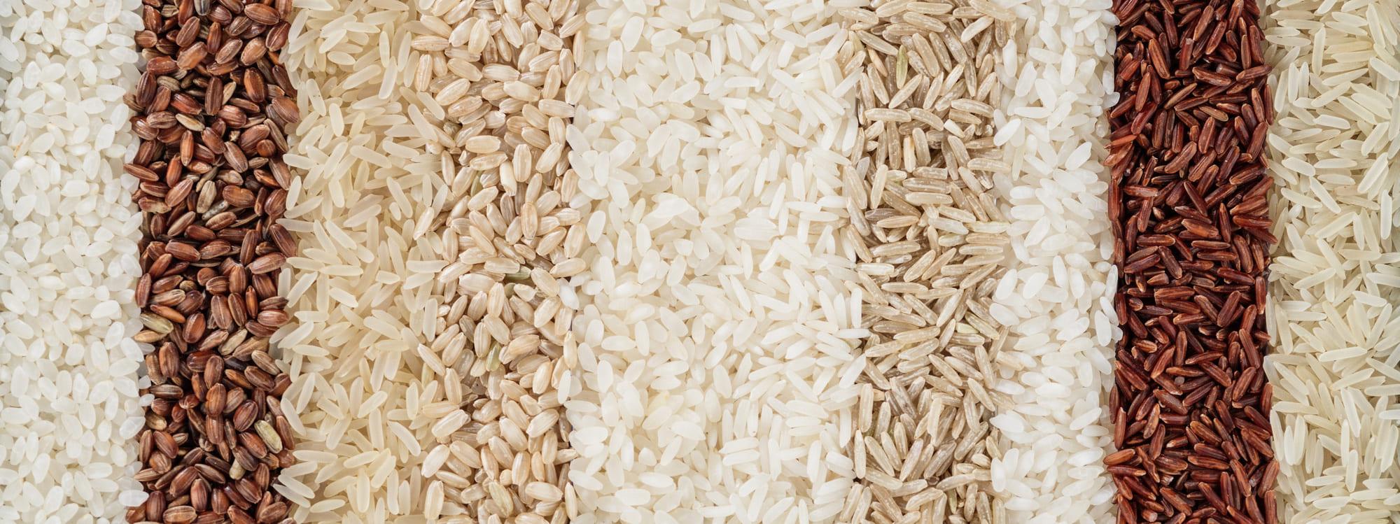Riz